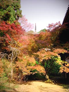 多宝塔前