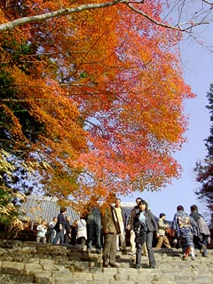 神護寺境内