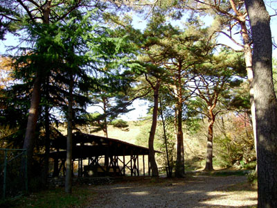 キャンプ場